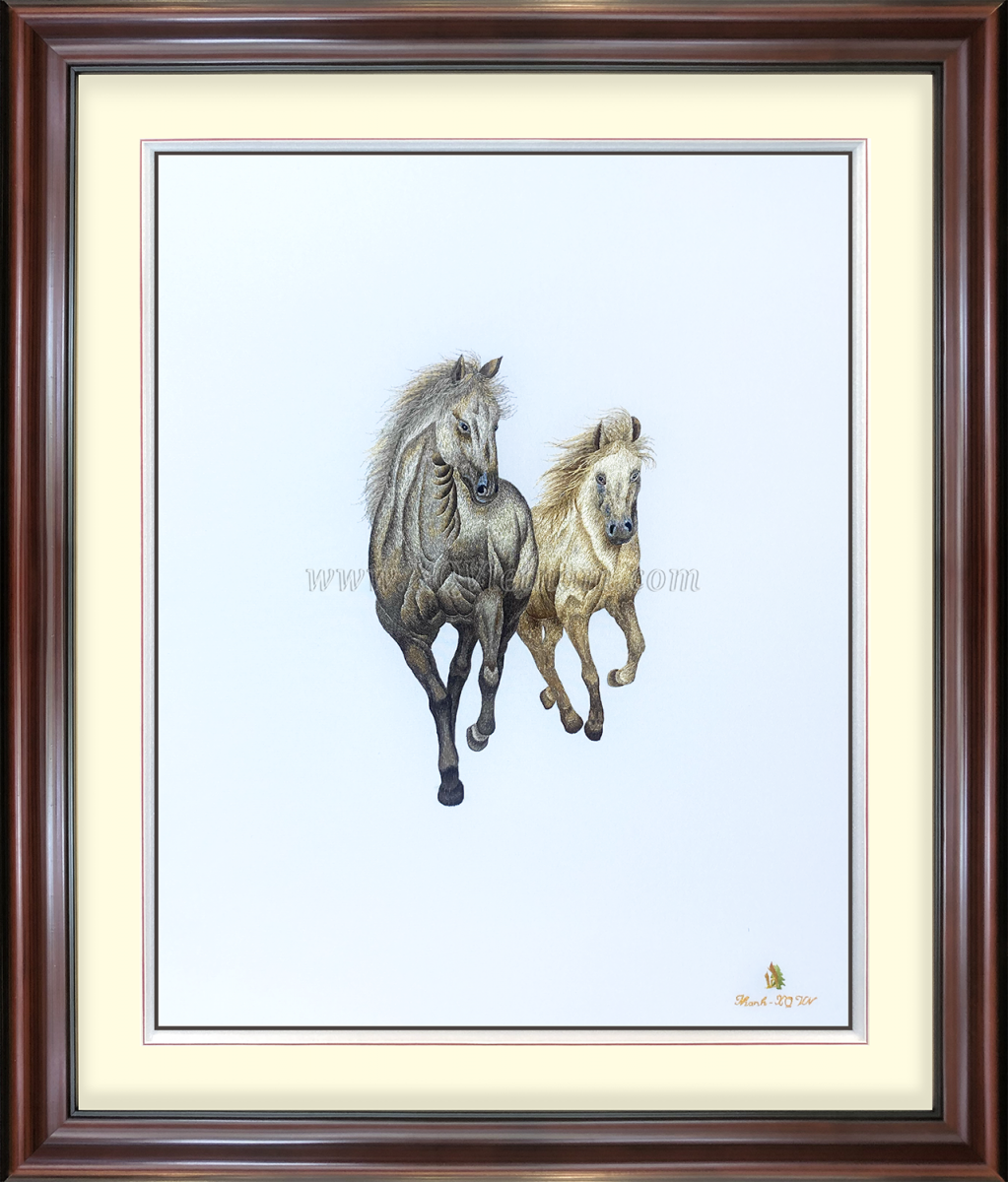 Song Phi Mã 6 (Nền Trắng)